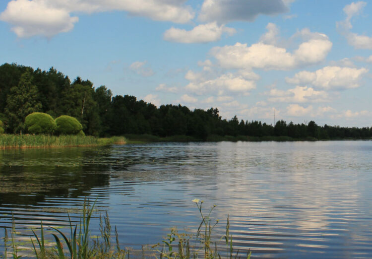 Äyhönjärvi rannalta.